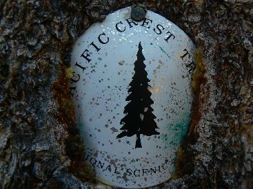 Marking the PCT
